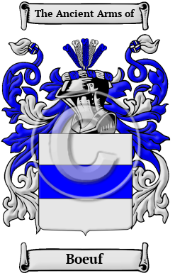 Boeuf Family Crest Download (JPG) Heritage Series - 600 DPI