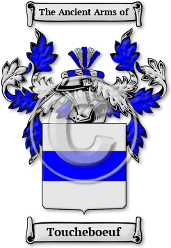 Toucheboeuf Family Crest Download (JPG) Legacy Series - 600 DPI
