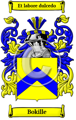 Bokille Family Crest Download (JPG) Heritage Series - 300 DPI
