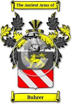 Buhrer Family Crest Download (jpg) Legacy Series - 150 DPI
