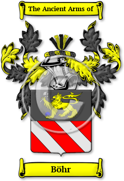 Böhr Family Crest Download (jpg) Legacy Series - 150 DPI