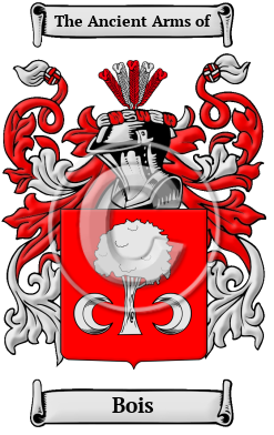 Bois Family Crest Download (JPG) Heritage Series - 600 DPI