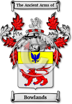 Bowlands Family Crest Download (JPG) Legacy Series - 600 DPI