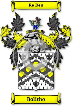 Bolitho Family Crest Download (jpg) Legacy Series - 150 DPI