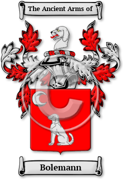 Bolemann Family Crest Download (jpg) Legacy Series - 150 DPI