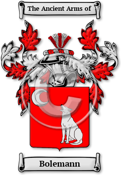 Bolemann Family Crest Download (JPG) Legacy Series - 600 DPI
