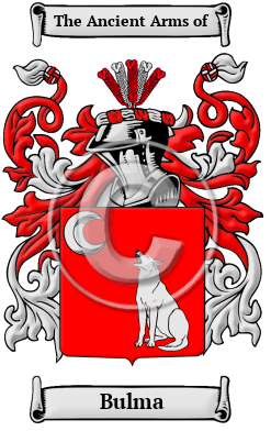 Bulma Family Crest/Coat of Arms
