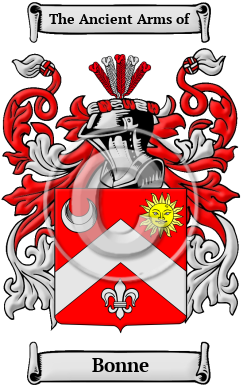 Bonne Family Crest Download (JPG) Heritage Series - 600 DPI