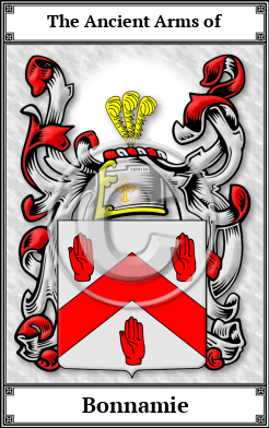 Bonnamie Family Crest Download (JPG) Book Plated - 600 DPI
