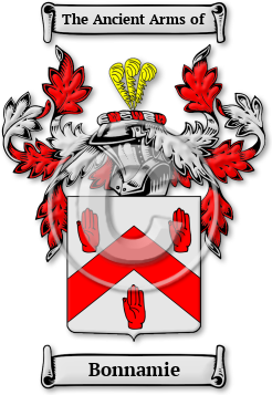Bonnamie Family Crest Download (JPG) Legacy Series - 600 DPI