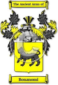 Bonanomi Family Crest Download (jpg) Legacy Series - 150 DPI