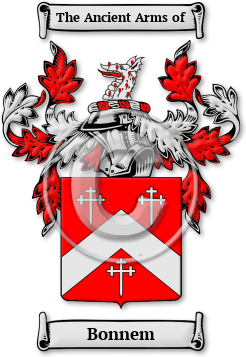 Bonnem Family Crest Download (jpg) Legacy Series - 150 DPI