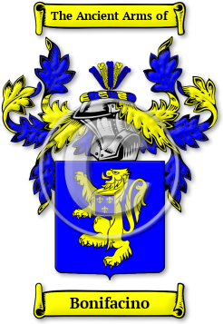 Bonifacino Family Crest Download (jpg) Legacy Series - 150 DPI
