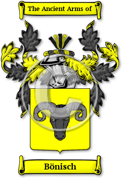 Bönisch Family Crest Download (jpg) Legacy Series - 150 DPI