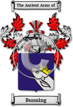 Bunning Family Crest Download (jpg) Legacy Series - 150 DPI