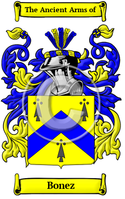 Bonez Family Crest Download (JPG) Heritage Series - 300 DPI