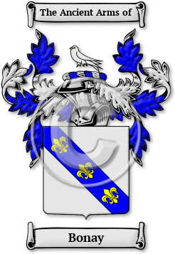 Bonay Family Crest Download (jpg) Legacy Series - 150 DPI