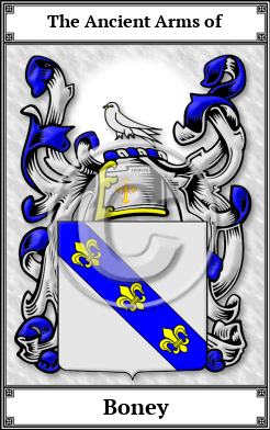 Boney Family Crest Download (JPG)  Book Plated - 150 DPI