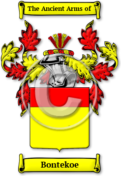 Bontekoe Family Crest Download (JPG) Legacy Series - 600 DPI