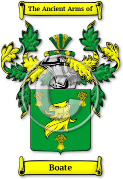 Boate Family Crest Download (jpg) Legacy Series - 150 DPI