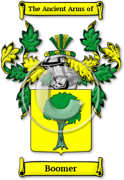 Boomer Family Crest Download (jpg) Legacy Series - 150 DPI