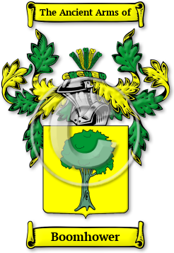 Boomhower Family Crest Download (jpg) Legacy Series - 150 DPI