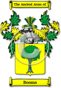 Booms Family Crest Download (jpg) Legacy Series - 150 DPI