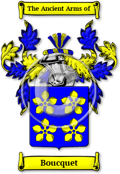 Boucquet Family Crest Download (jpg) Legacy Series - 150 DPI