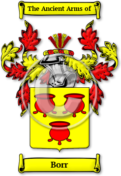 Borr Family Crest Download (jpg) Legacy Series - 150 DPI