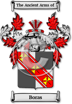 Boras Family Crest Download (jpg) Legacy Series - 150 DPI