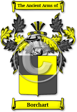 Borchart Family Crest Download (jpg) Legacy Series - 150 DPI