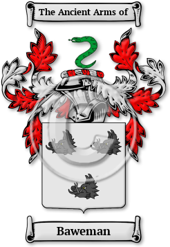 Baweman Family Crest Download (JPG) Legacy Series - 600 DPI