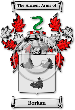 Borkan Family Crest Download (jpg) Legacy Series - 150 DPI