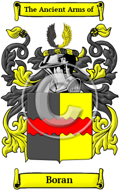 Boran Family Crest Download (JPG) Heritage Series - 600 DPI