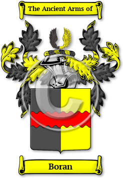 Boran Family Crest Download (jpg) Legacy Series - 150 DPI