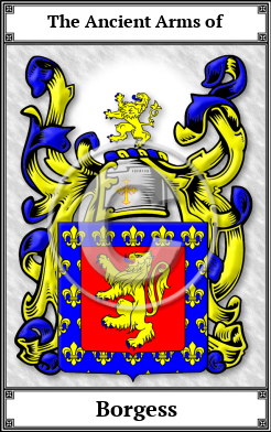 Borgess Family Crest Download (JPG) Book Plated - 600 DPI