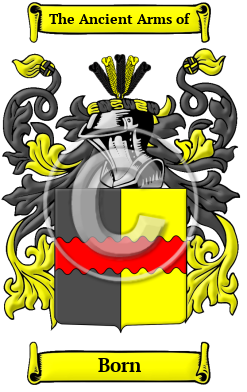 Bertin Name Meaning, Family History, Family Crest & Coats of Arms