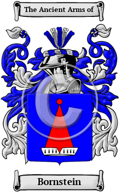 Bornstein Family Crest/Coat of Arms