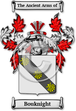Bouknight Family Crest Download (jpg) Legacy Series - 150 DPI