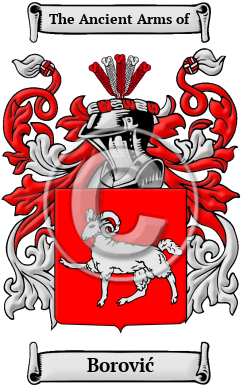 Borović Family Crest/Coat of Arms