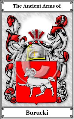 Borucki Family Crest Download (JPG) Book Plated - 600 DPI