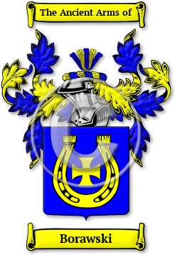 Borawski Family Crest Download (JPG) Legacy Series - 600 DPI