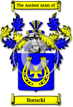 Borucki Family Crest Download (jpg) Legacy Series - 150 DPI