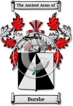 Burshe Family Crest Download (jpg) Legacy Series - 150 DPI