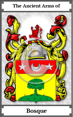 Bosque Family Crest Download (JPG) Book Plated - 600 DPI