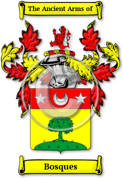 Bosques Family Crest Download (jpg) Legacy Series - 150 DPI