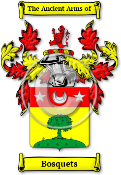 Bosquets Family Crest Download (jpg) Legacy Series - 150 DPI