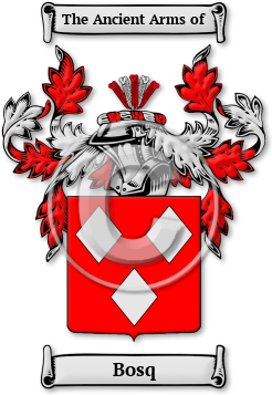 Bosq Family Crest Download (jpg) Legacy Series - 150 DPI