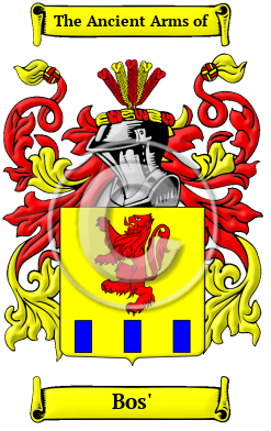 Bos' Family Crest/Coat of Arms