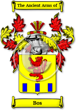 Bos Family Crest Download (jpg) Legacy Series - 150 DPI